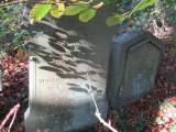 image of grave number 679868